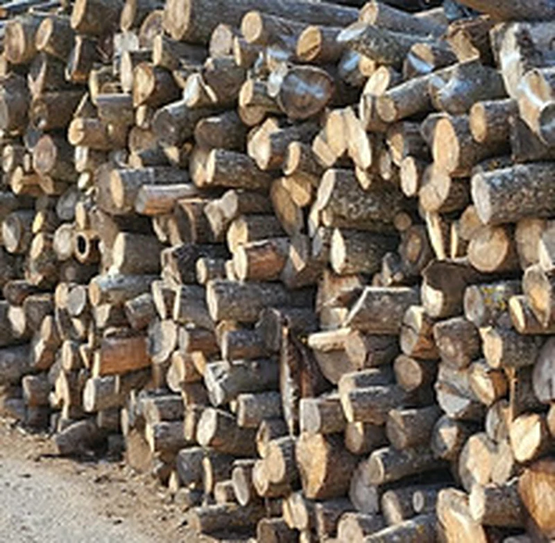 Doğal Ege Zeytin Odunu Urla